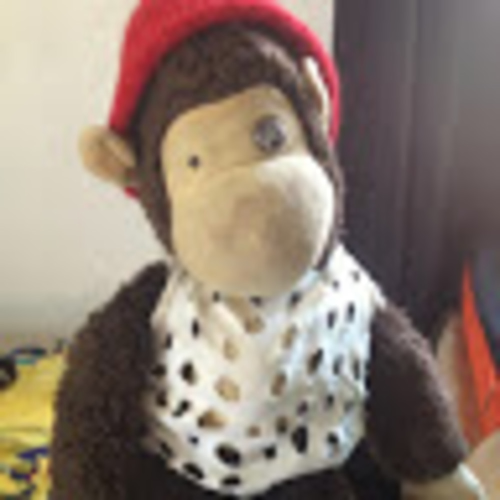 Meet your Posher, Ronald